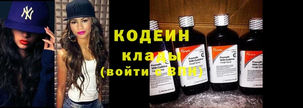 индика Куйбышев