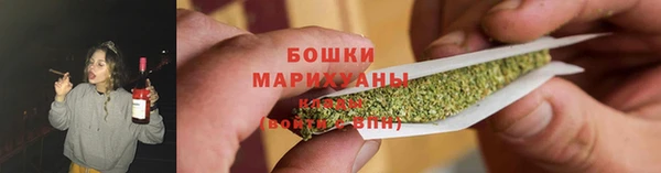 индика Куйбышев
