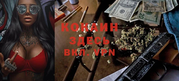 мяу мяу мука Кукмор