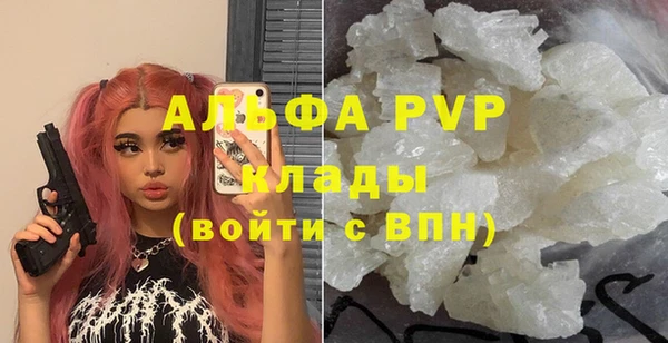 индика Куйбышев