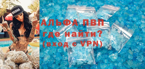 индика Куйбышев