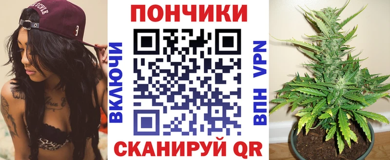 Шишки марихуана планчик  Купить где  Миньяр 